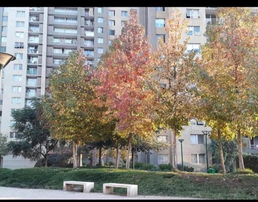 Apartamento Departamento Centrico